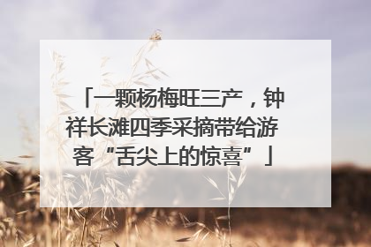 一颗杨梅旺三产，钟祥长滩四季采摘带给游客“舌尖上的惊喜”