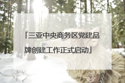 三亚中央商务区党建品牌创建工作正式启动