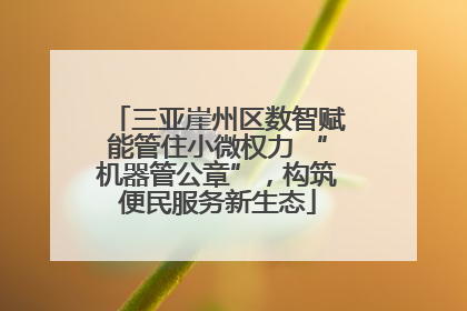 三亚崖州区数智赋能管住小微权力 “机器管公章”，构筑便民服务新生态