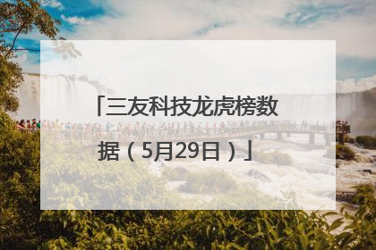 三友科技龙虎榜数据（5月29日）