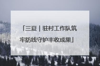 三夏｜驻村工作队筑牢防线守护丰收成果