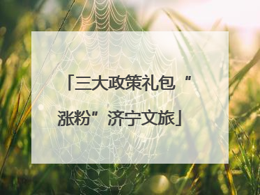 三大政策礼包“涨粉”济宁文旅