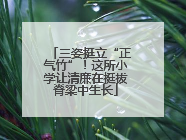 三姿挺立“正气竹”！这所小学让清廉在挺拔脊梁中生长