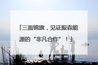 三面锦旗，见证振森能源的“非凡合作”！