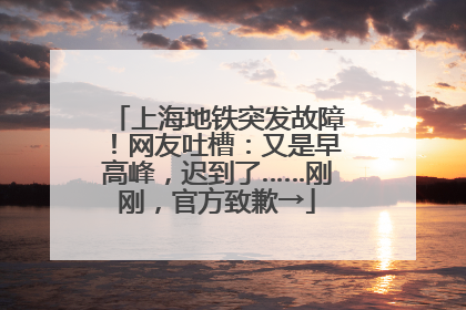 上海地铁突发故障！网友吐槽：又是早高峰，迟到了……刚刚，官方致歉→