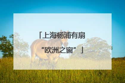 上海杨浦有扇“欧洲之窗”