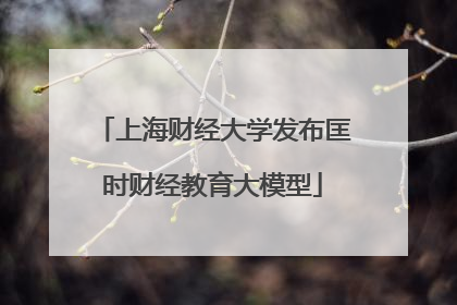 上海财经大学发布匡时财经教育大模型