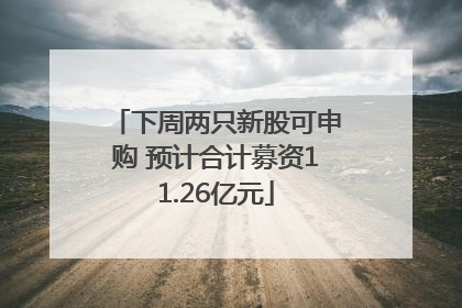 下周两只新股可申购 预计合计募资11.26亿元