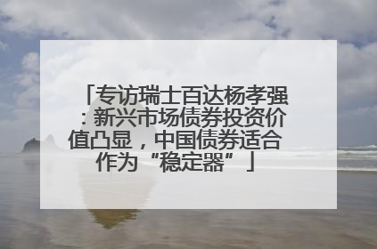 专访瑞士百达杨孝强：新兴市场债券投资价值凸显，中国债券适合作为“稳定器”