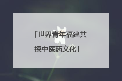 世界青年福建共探中医药文化