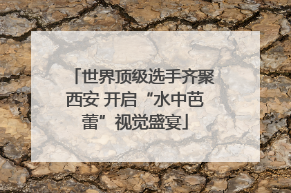世界顶级选手齐聚西安 开启“水中芭蕾”视觉盛宴