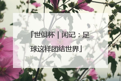 世俱杯｜闲记：足球这样团结世界