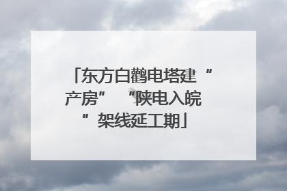 东方白鹳电塔建“产房” “陕电入皖”架线延工期