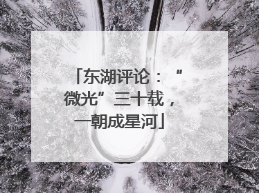 东湖评论：“微光”三十载，一朝成星河