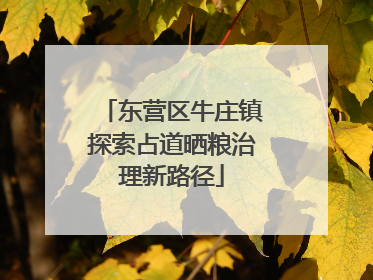 东营区牛庄镇探索占道晒粮治理新路径