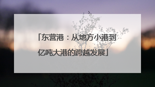 东营港：从地方小港到亿吨大港的跨越发展