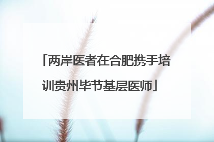 两岸医者在合肥携手培训贵州毕节基层医师