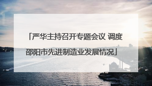 严华主持召开专题会议 调度邵阳市先进制造业发展情况