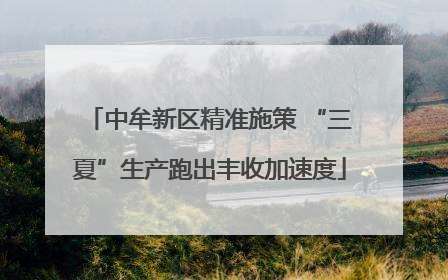 中牟新区精准施策 “三夏”生产跑出丰收加速度