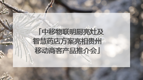中移物联明厨亮灶及智慧药店方案亮相贵州移动商客产品推介会