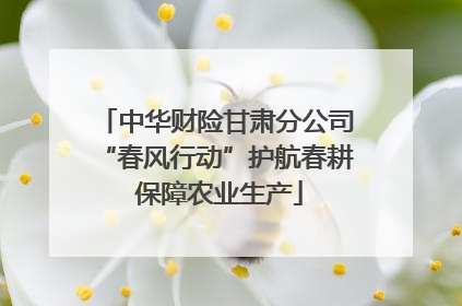 中华财险甘肃分公司“春风行动”护航春耕 保障农业生产