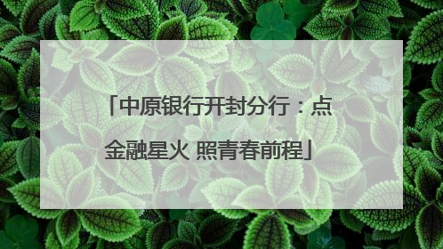 中原银行开封分行：点金融星火 照青春前程