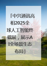 中兴通讯亮相2025全球人工智能终端展，展示AI全场景生态布局