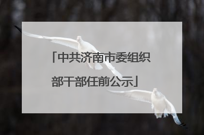 中共济南市委组织部干部任前公示