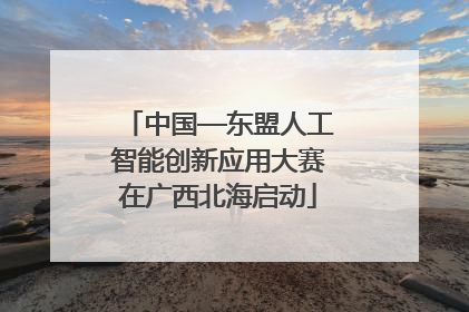 中国—东盟人工智能创新应用大赛在广西北海启动