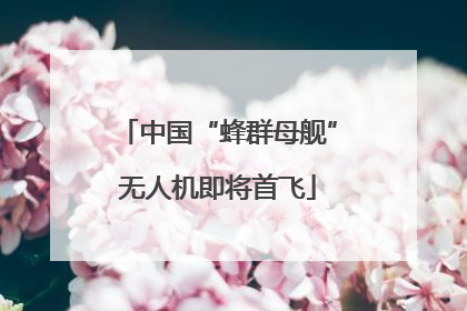 中国“蜂群母舰”无人机即将首飞