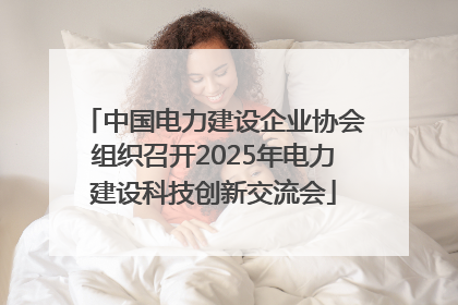 中国电力建设企业协会组织召开2025年电力建设科技创新交流会