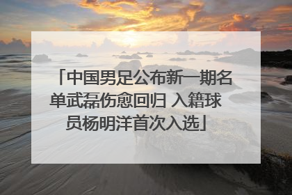 中国男足公布新一期名单武磊伤愈回归 入籍球员杨明洋首次入选