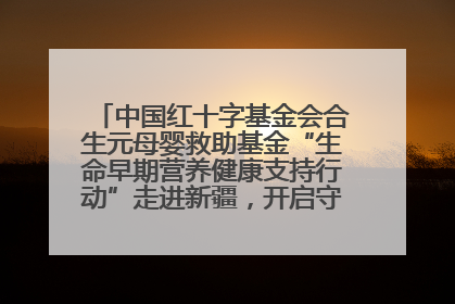 中国红十字基金会合生元母婴救助基金“生命早期营养健康支持行动”走进新疆，开启守护母婴新篇章！