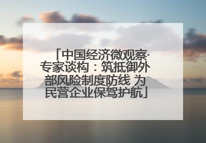 中国经济微观察·专家谈构：筑抵御外部风险制度防线 为民营企业保驾护航