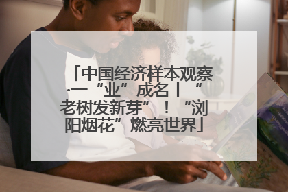 中国经济样本观察·一“业”成名丨“老树发新芽”！“浏阳烟花”燃亮世界