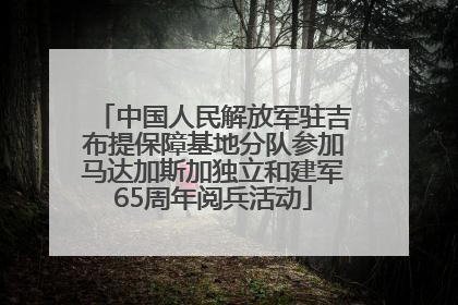 中国人民解放军驻吉布提保障基地分队参加马达加斯加独立和建军65周年阅兵活动