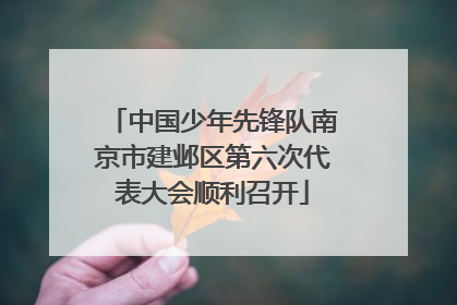 中国少年先锋队南京市建邺区第六次代表大会顺利召开