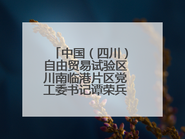 中国（四川）自由贸易试验区川南临港片区党工委书记谭荣兵一行赴岳阳城陵矶综保区考察