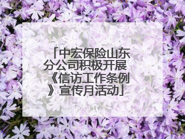 中宏保险山东分公司积极开展《信访工作条例》宣传月活动
