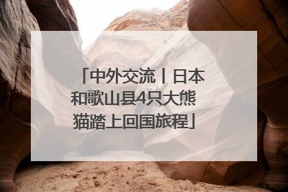 中外交流丨日本和歌山县4只大熊猫踏上回国旅程