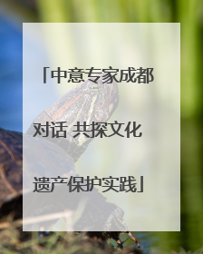 中意专家成都对话 共探文化遗产保护实践
