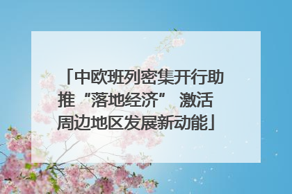 中欧班列密集开行助推“落地经济” 激活周边地区发展新动能