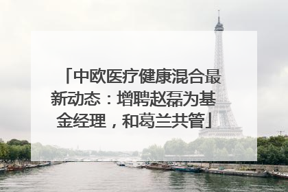 中欧医疗健康混合最新动态：增聘赵磊为基金经理，和葛兰共管