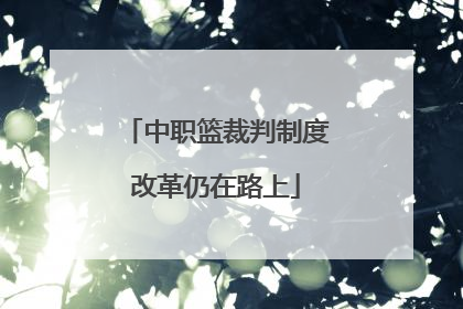 中职篮裁判制度改革仍在路上