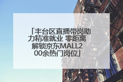 丰台区直播带岗助力精准就业 零距离解锁京东MALL200余热门岗位