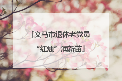 义马市退休老党员“红烛”润新苗