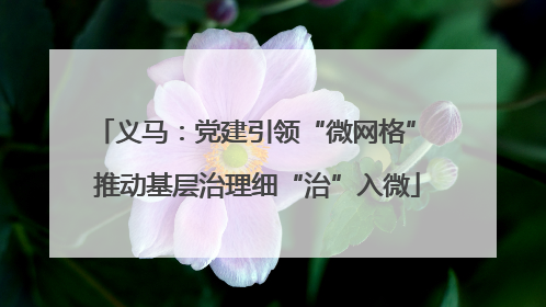 义马：党建引领“微网格” 推动基层治理细“治”入微