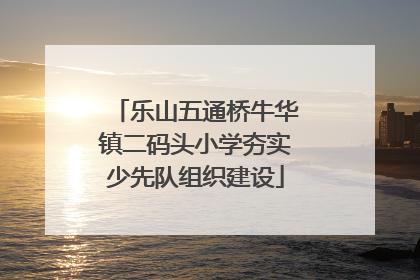 乐山五通桥牛华镇二码头小学夯实少先队组织建设