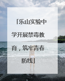 乐山实验中学开展禁毒教育，筑牢青春防线
