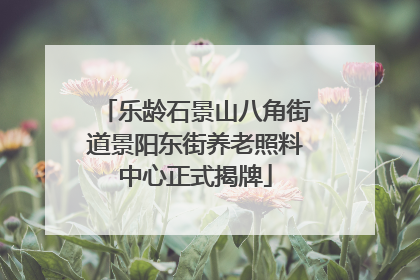 乐龄石景山八角街道景阳东街养老照料中心正式揭牌